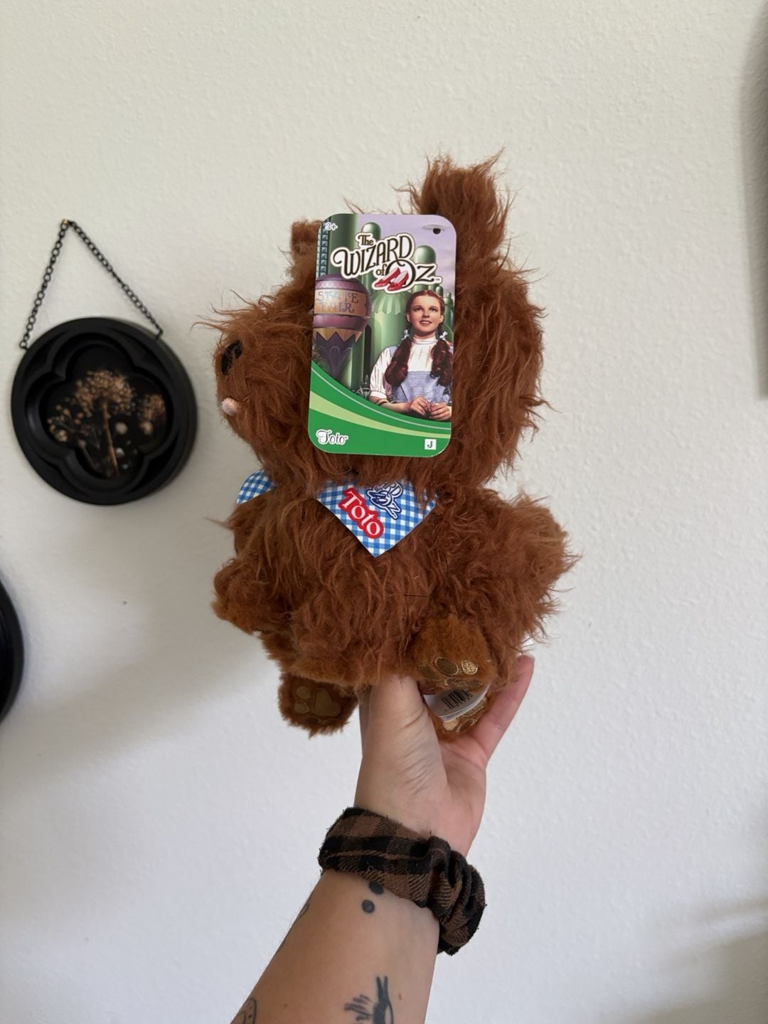 Jazwares The Wizard Of Oz Winged Monkey and Toto set of 3 Plushes 9