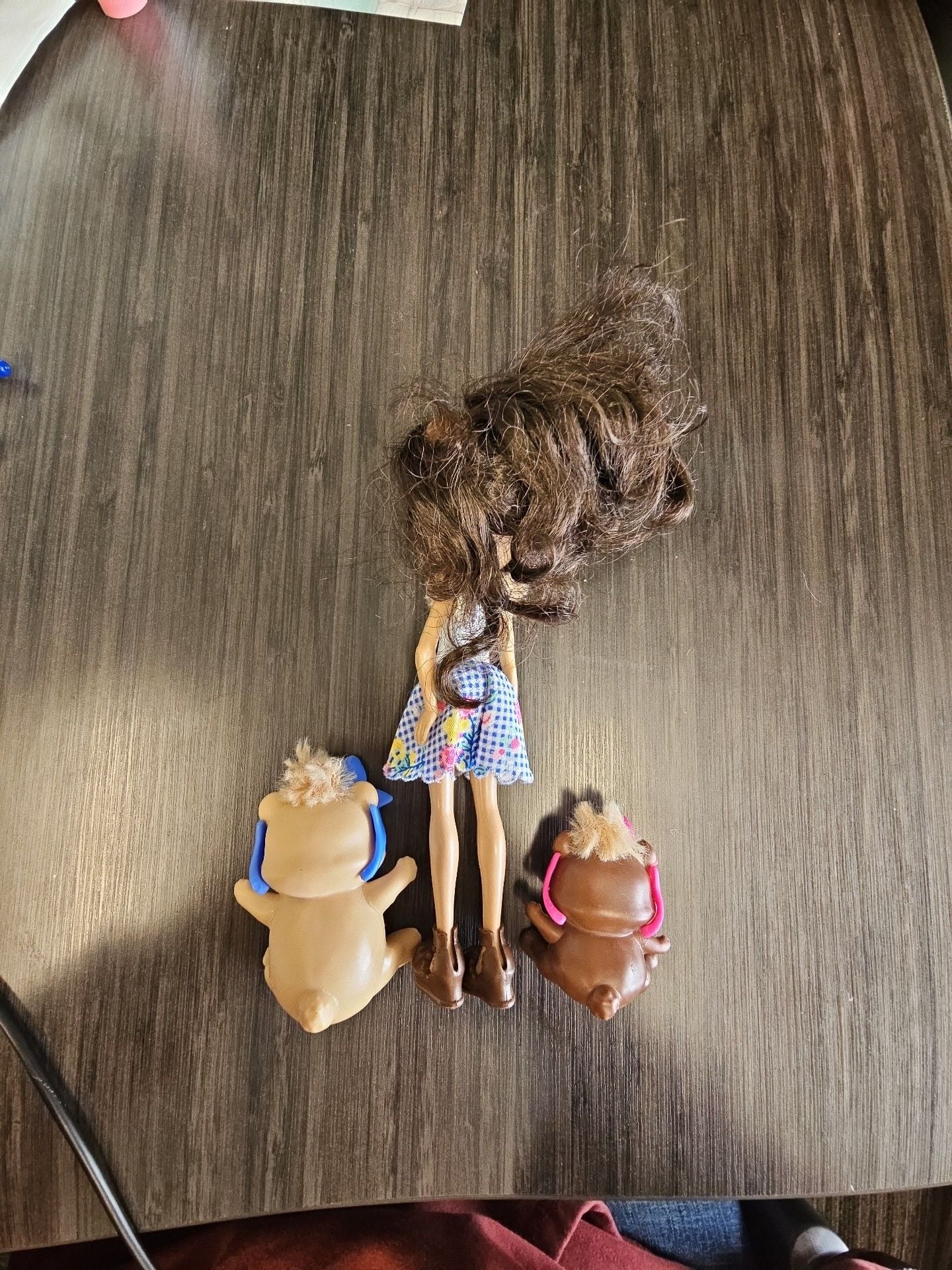 Mattel Enchantimals Paws for a Picnic Bren Bear Doll Snore and Zia 2