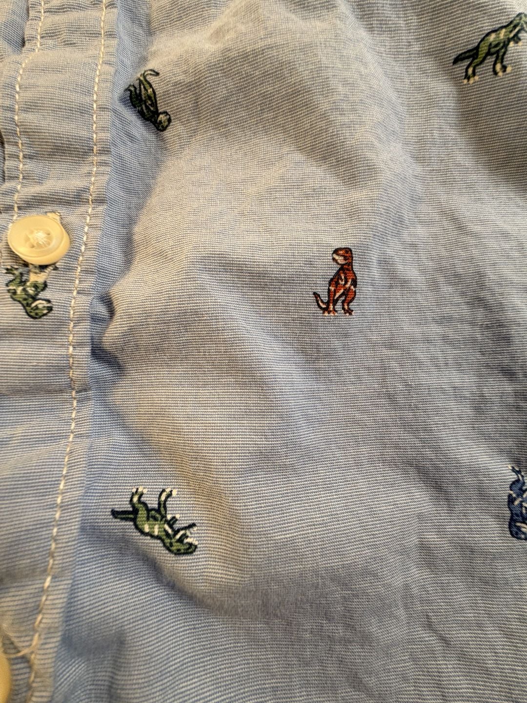 Carter's Dinosaur Button Down Shirt Size 4T Blue 3