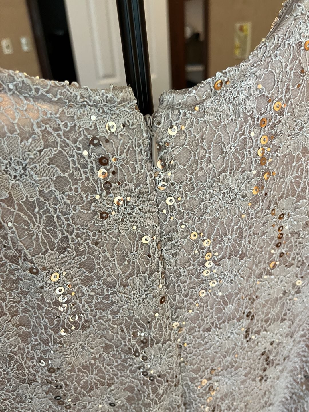 R&M Richards Sequin Lace Dress Size 16 Gold 11