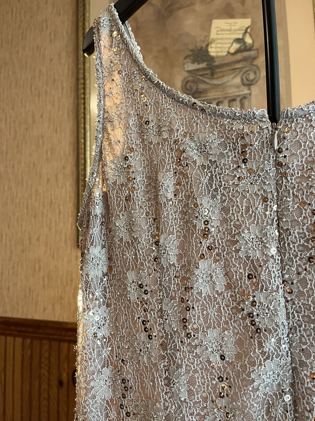 R&M Richards Sequin Lace Dress Size 16 Gold 13
