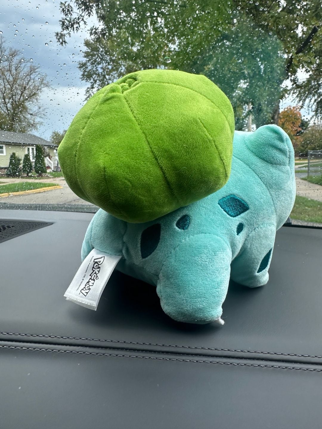 Pokemon Bulbasaur Plush Stuffed Animal 2021 Nintendo 3