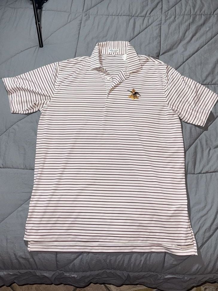 Peter millar summer comfort striped polo shirt 2