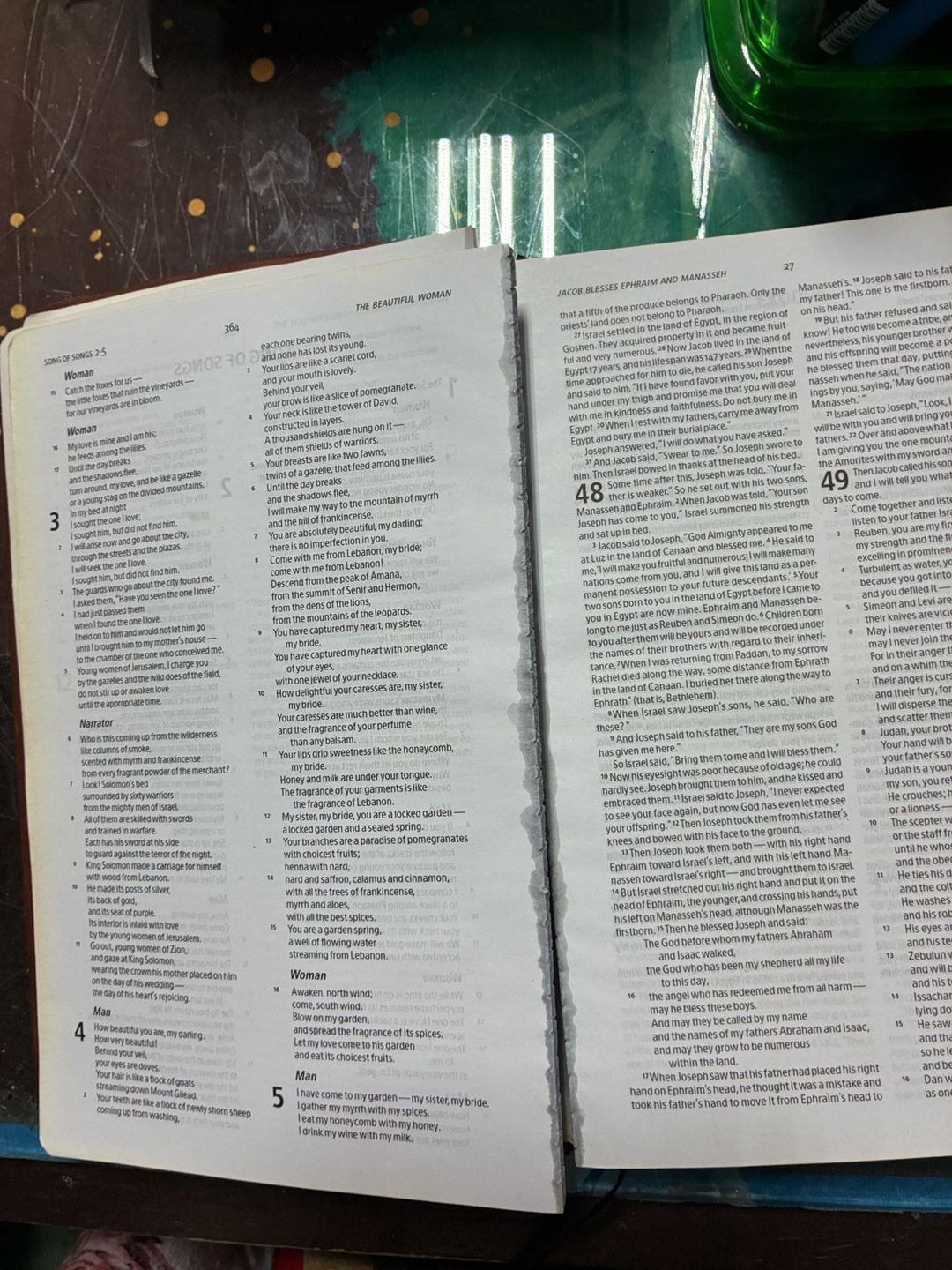 Holman Christian Standard Bible Brown Leather Bound 7
