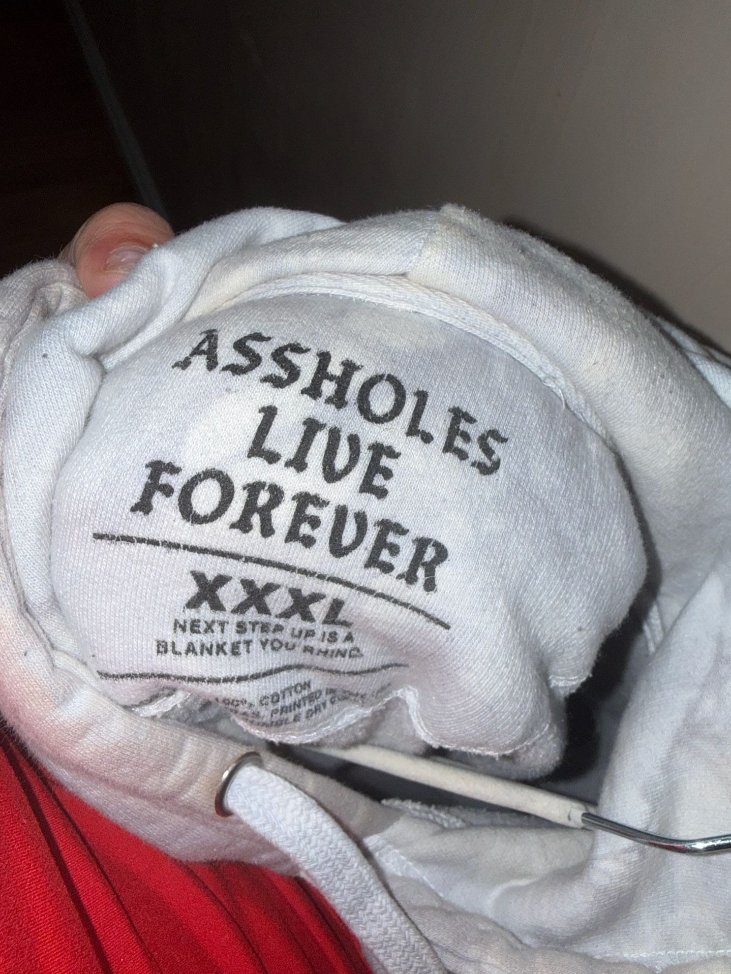 RIPNDIP Assholes Live Forever Hoodie Tie Dye 4