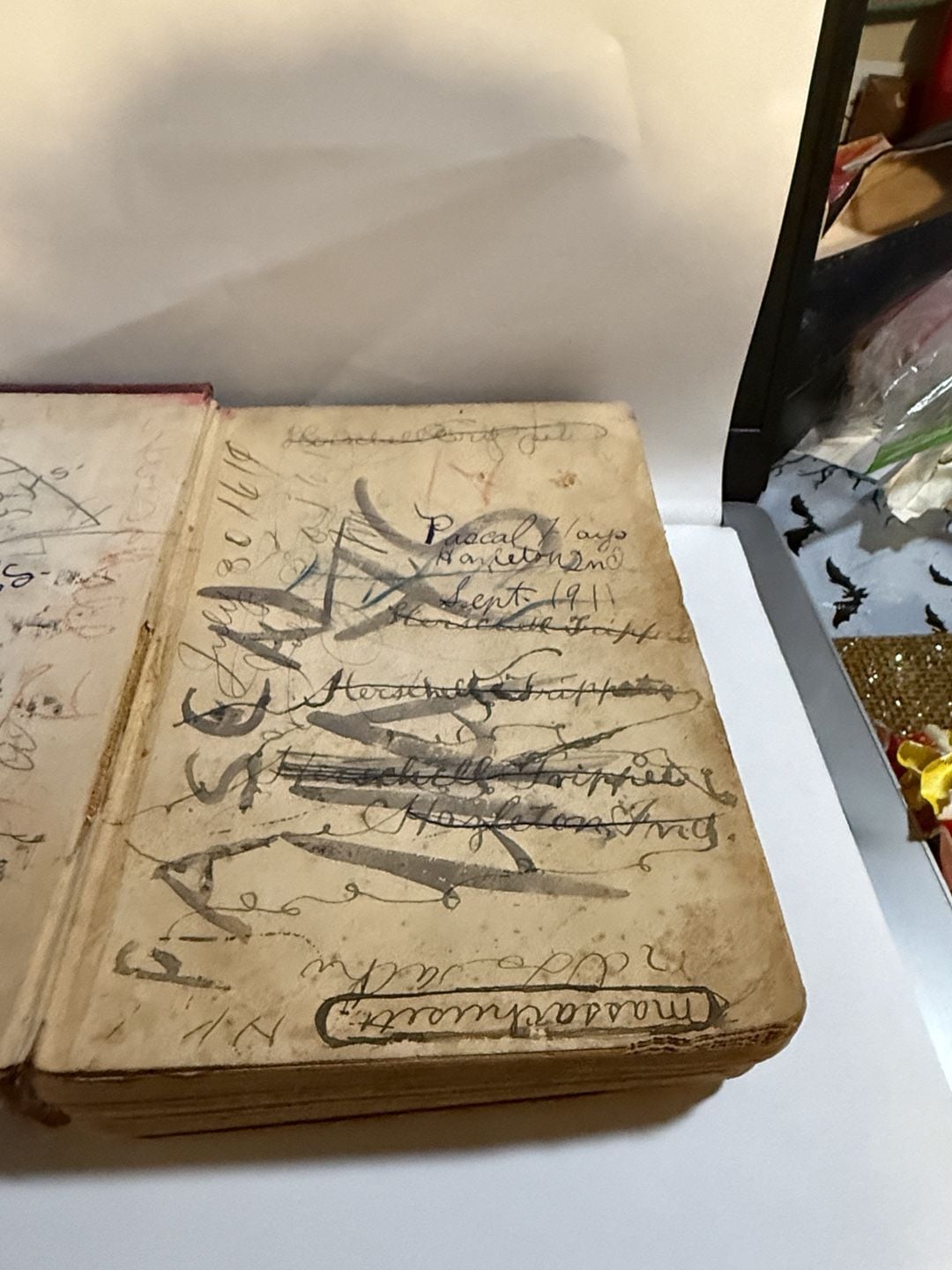 Ginn And Company The Leading Facts of American History Book what I found inside ASIS 5