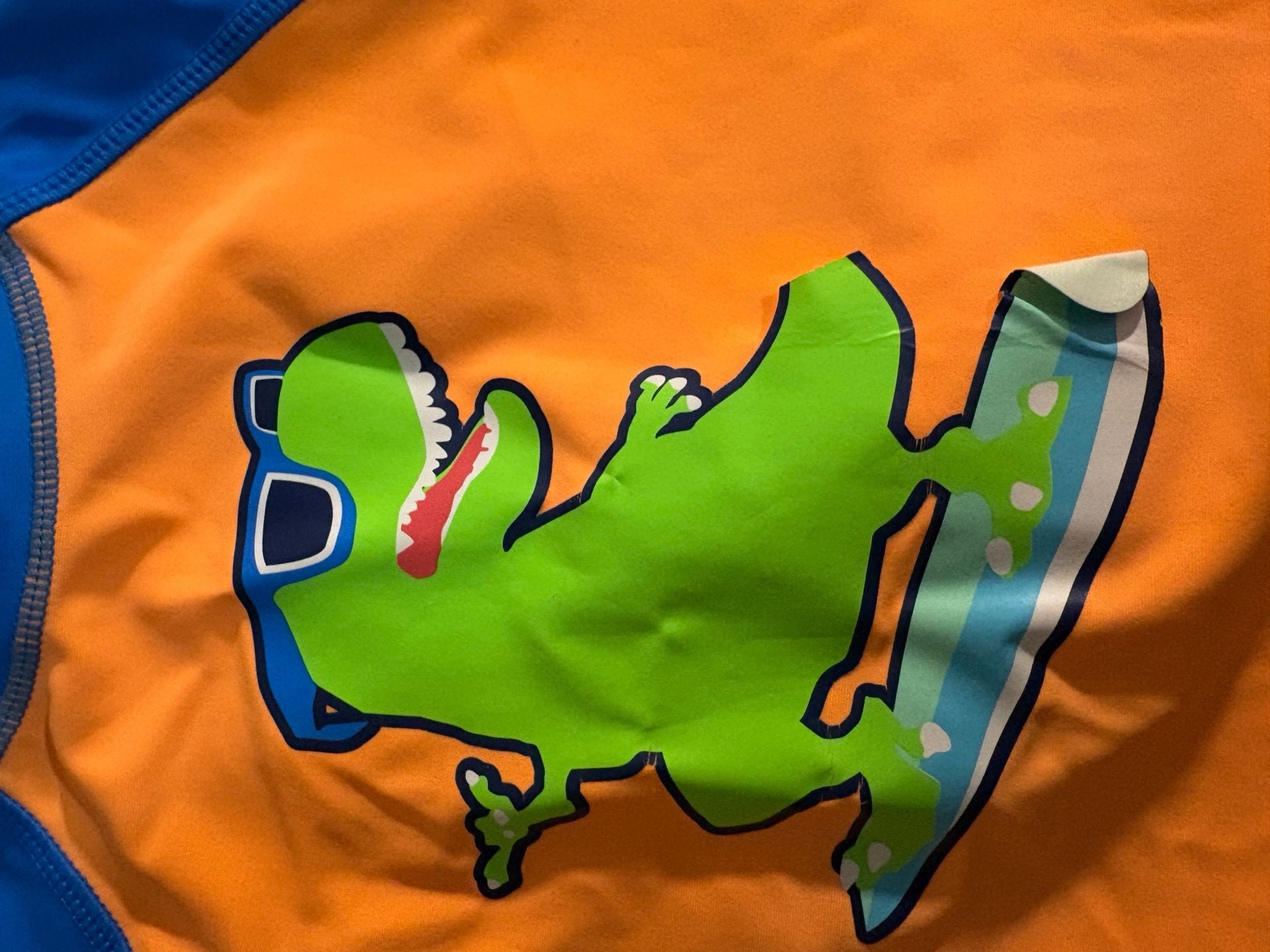 Boy's Dinosaur Swim Shirt and Board Shorts Set 4