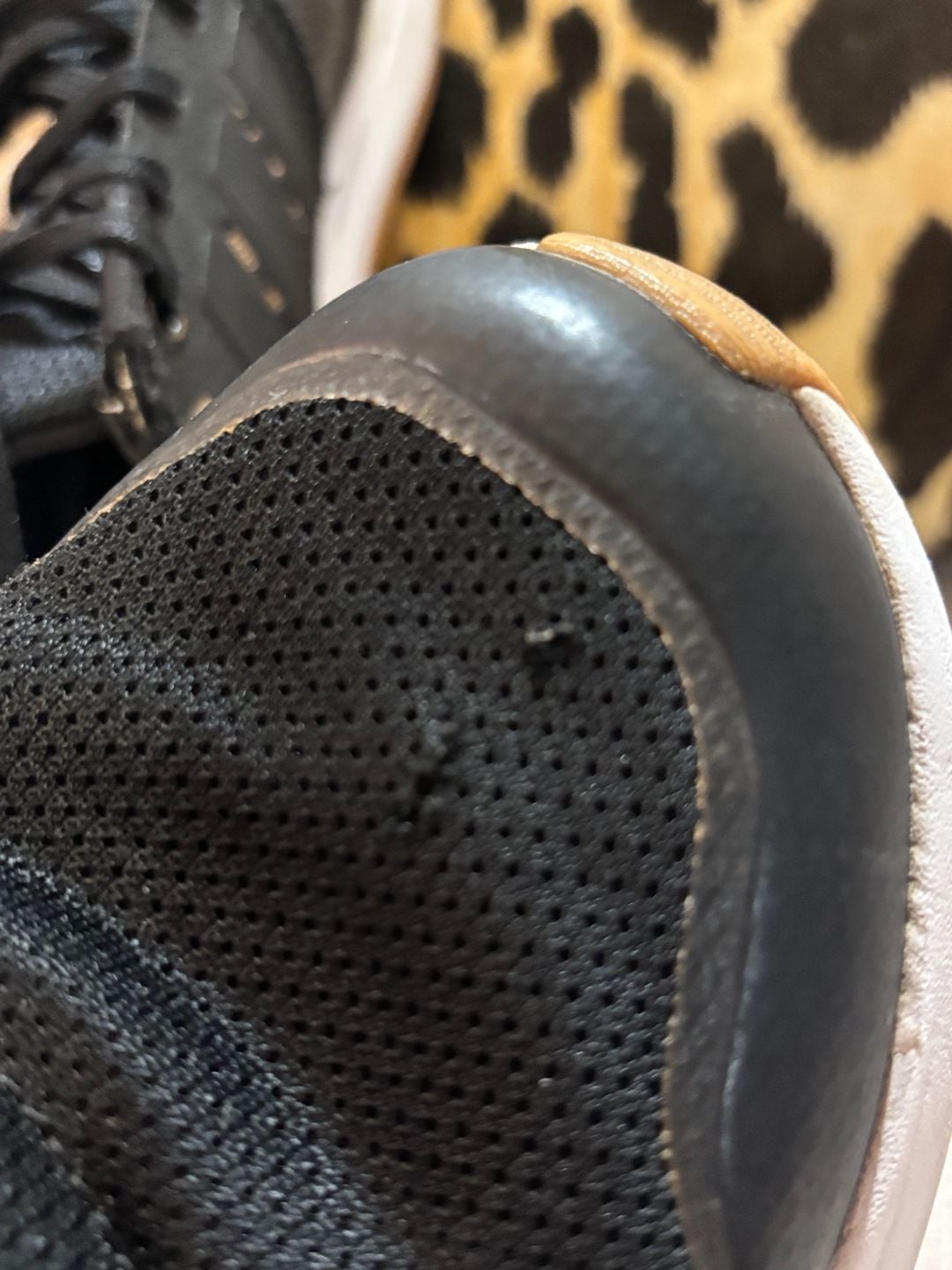 Adidas Running Shoes Black Leopard Print youth sz 1 8