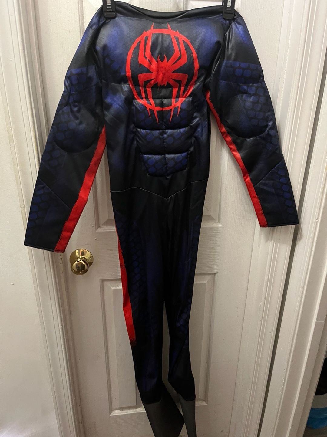 Spider-Man Across The Spider-Verse Costume Size L Boys 2