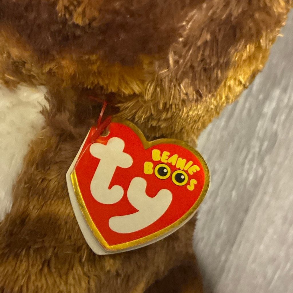 Ty Beanie Boos Chihuahua Plush 2