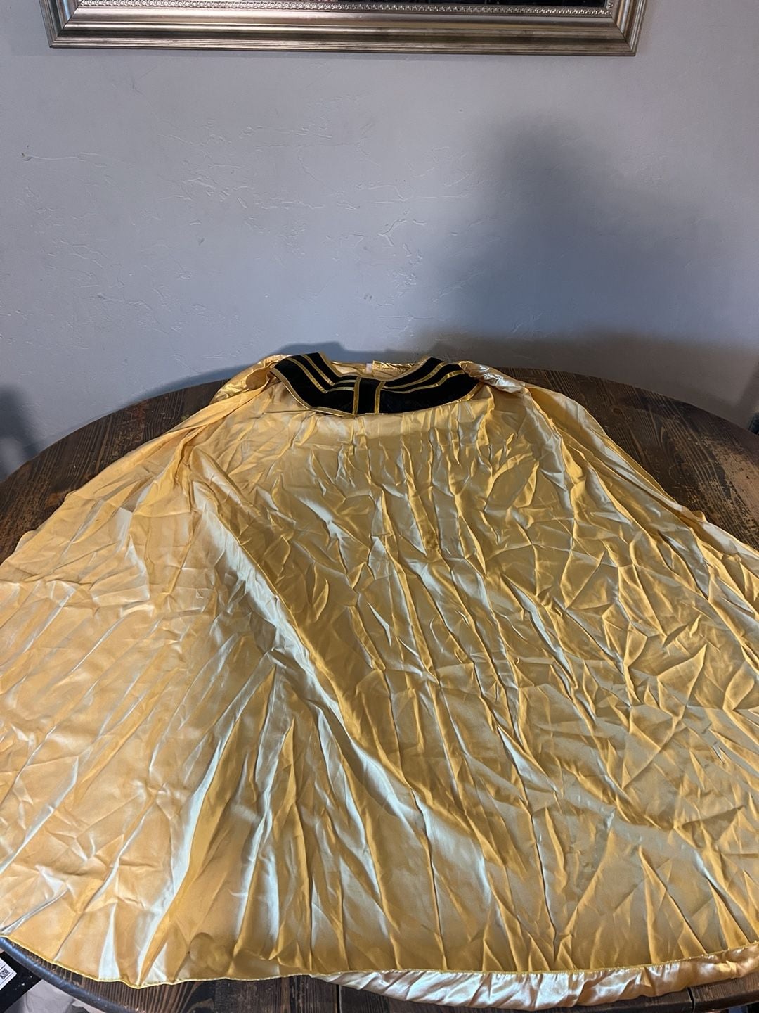 Gold and Black Egyptian Pharaoh King Costume Cape Cloak 1
