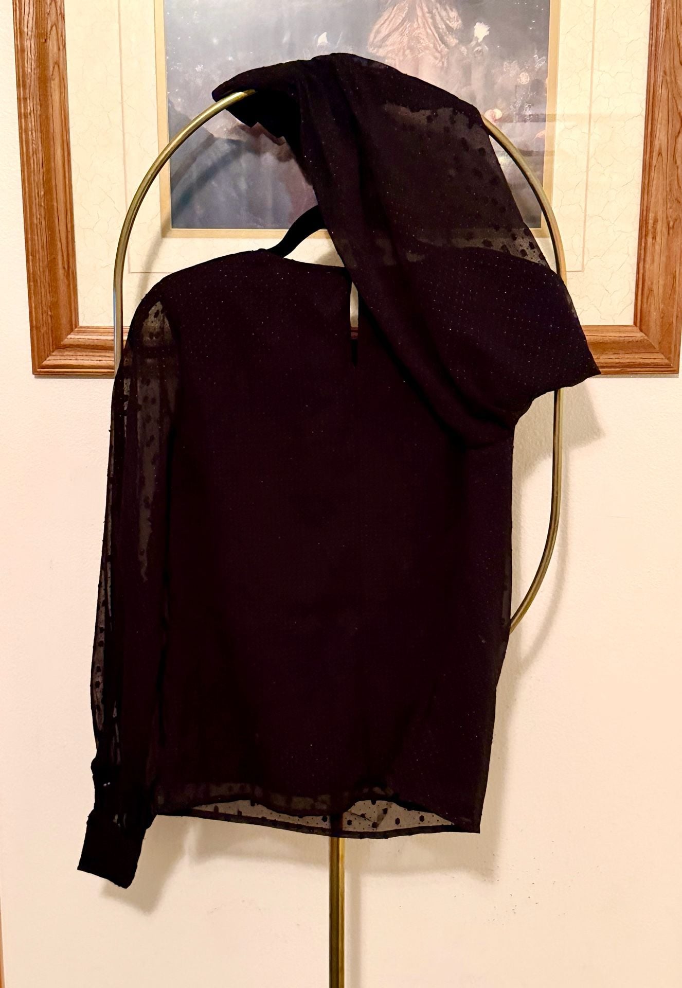 Calligraphie Black Sheer Polka Dot Blouse Size S 4