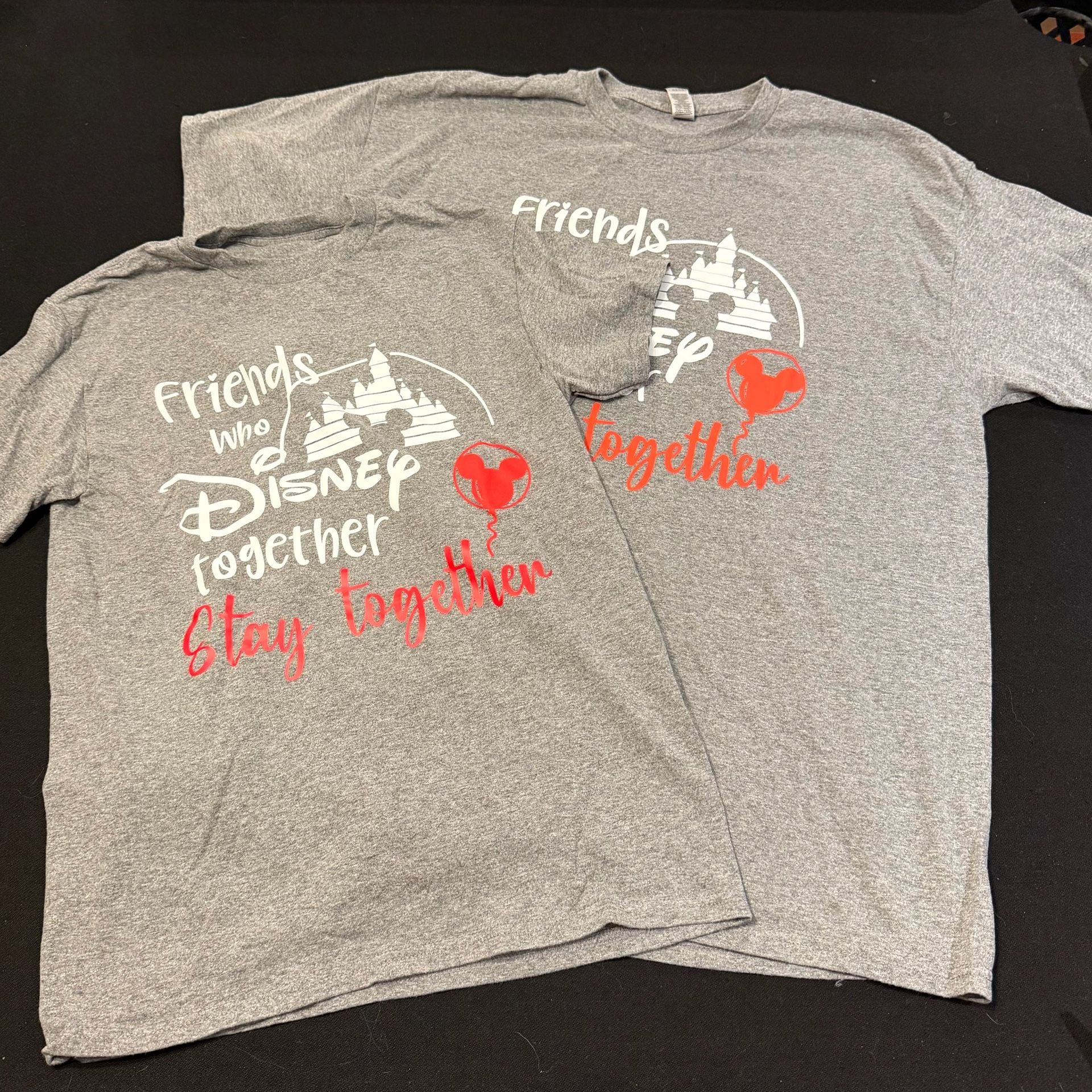 Two (2) “Friends Who Disney Together Stay Together” Graphic T-Shirts Grey 1