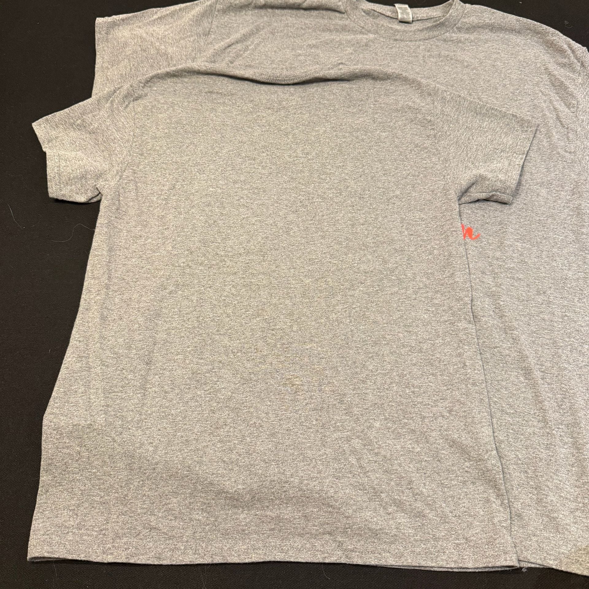 Two (2) “Friends Who Disney Together Stay Together” Graphic T-Shirts Grey 5