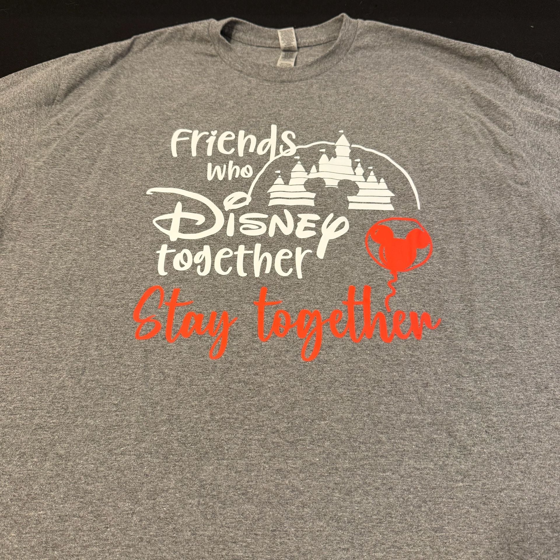 Two (2) “Friends Who Disney Together Stay Together” Graphic T-Shirts Grey 7