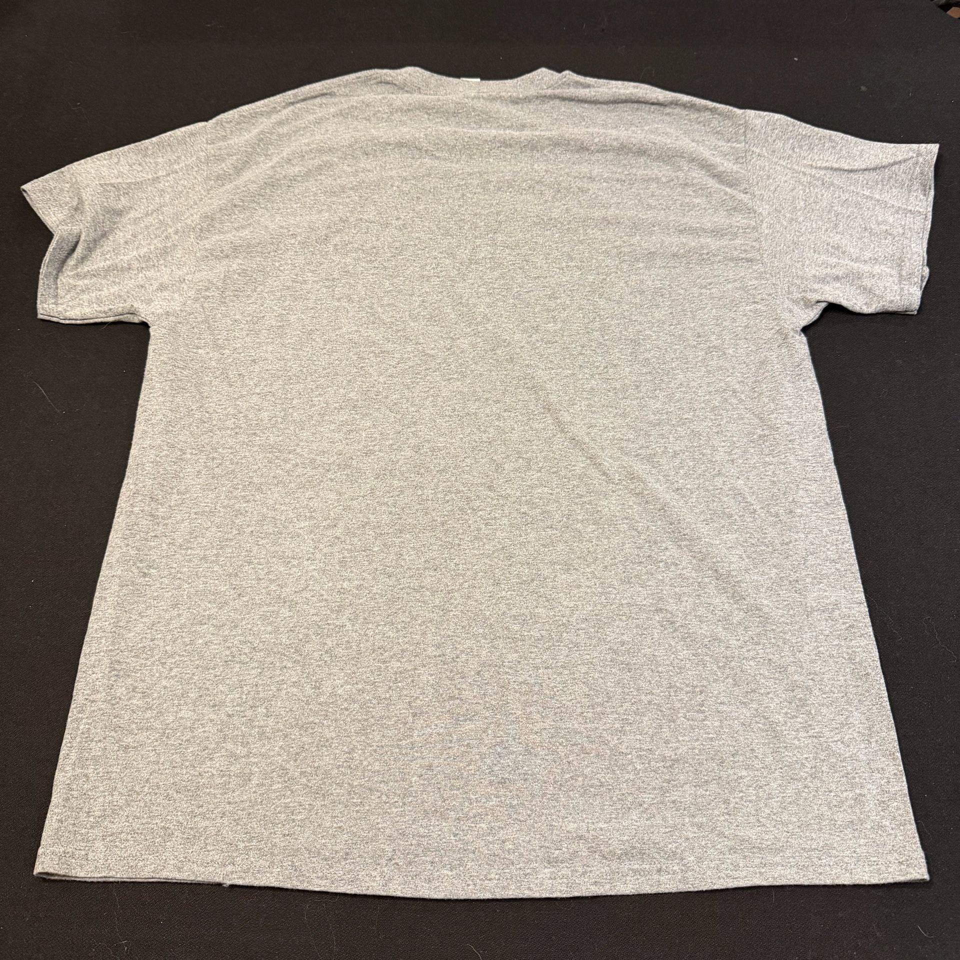 Two (2) “Friends Who Disney Together Stay Together” Graphic T-Shirts Grey 12