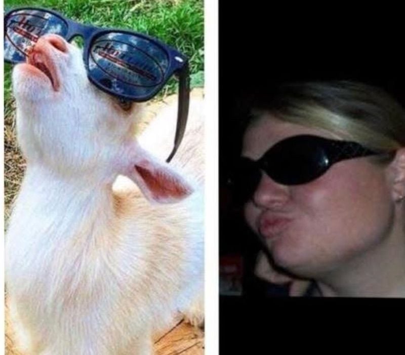 TheBlueyedGoat