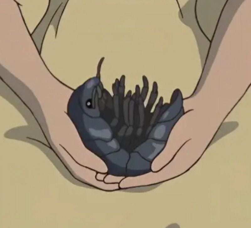 Corvidsoup