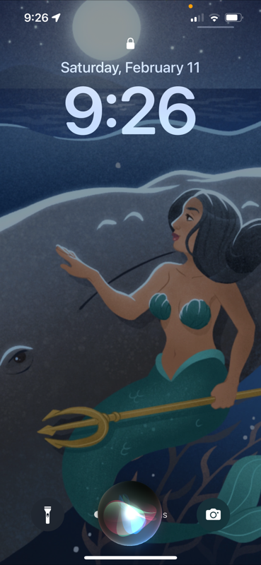 MermaidThriftStore