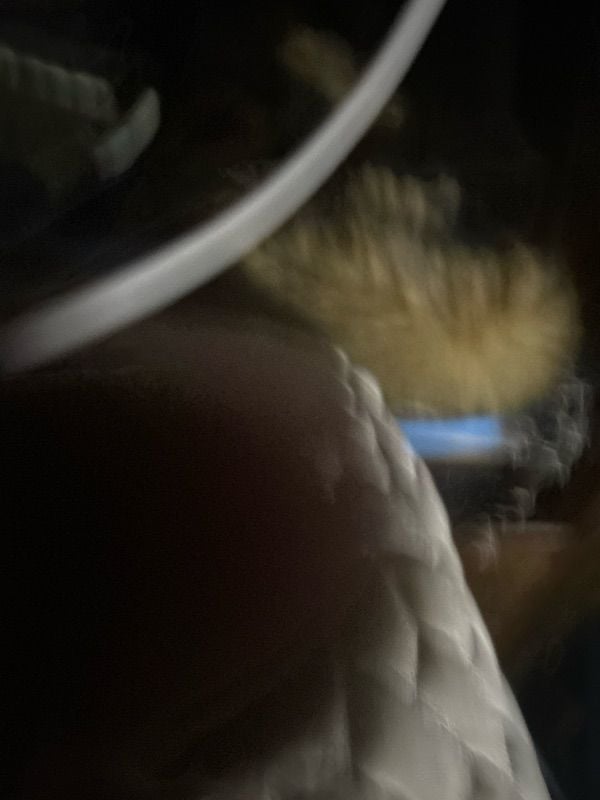 Flipz