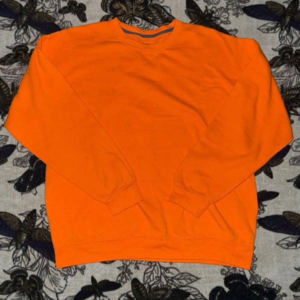 Fruit of the Loom Pullover Sweatshirt Men's L Solid Orange Crew Neck
