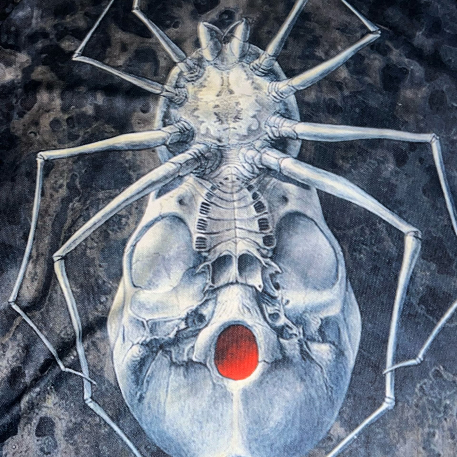 Goth Style Spider Skull Graphic-Tee. Kris Kuksi Design for Alyssa Sturgill's Novel 'Spider Pie' (2005) 3