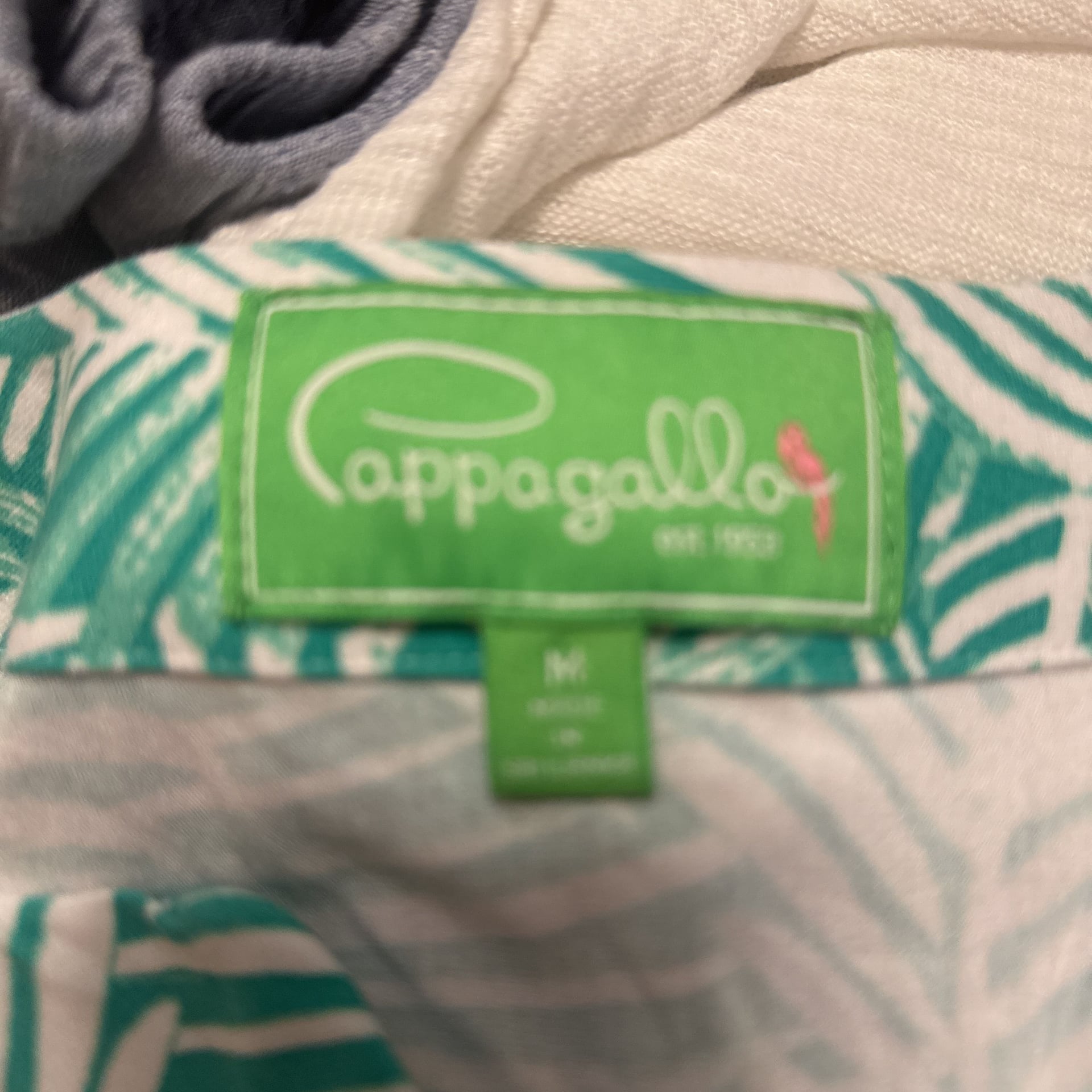 Pappagallo 4