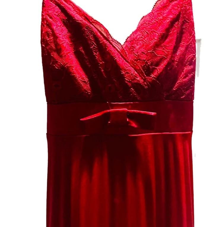 Elegant Burgundy Lace Bodice Evening Gown 3