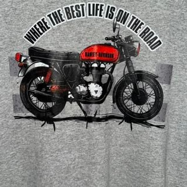 Harley-Davidson Grey Graphic Tee Heavy Cotton Large Dad Gift