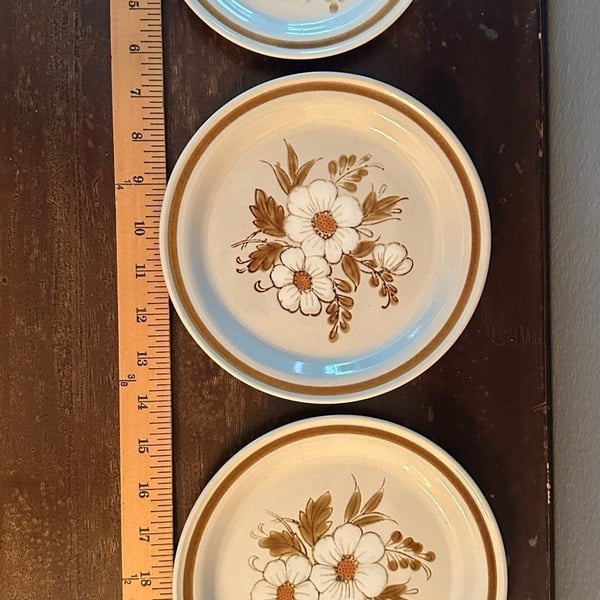 Vintage Mountain Wood Collection Stoneware Plates 3 (2 sizes) cottage curated