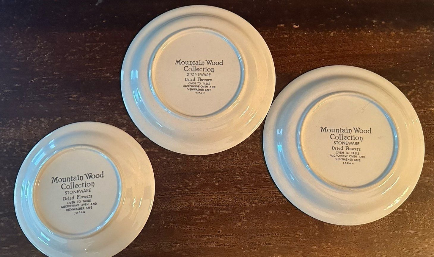 Vintage Mountain Wood Collection Stoneware Plates 3 (2 sizes) cottage curated 4
