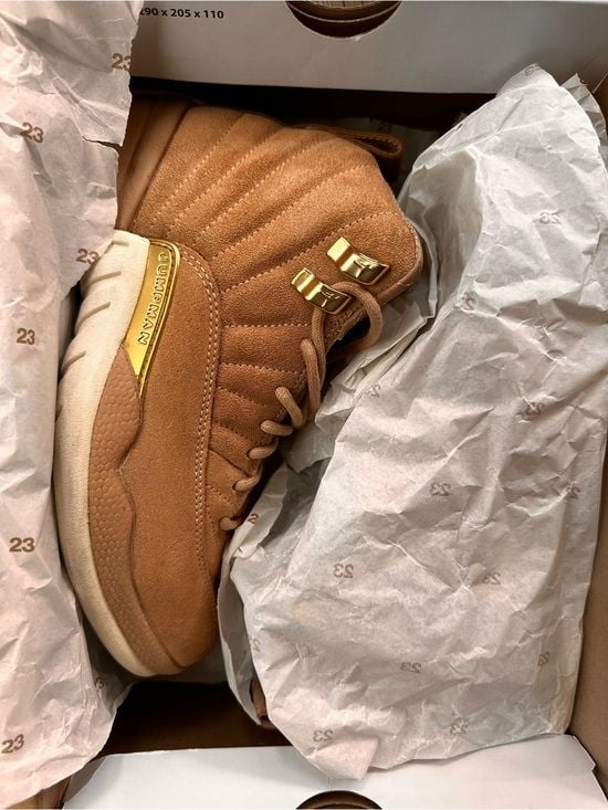 Retro Jumpman Jordan 12’s Suede Blush with Gold Accents 14