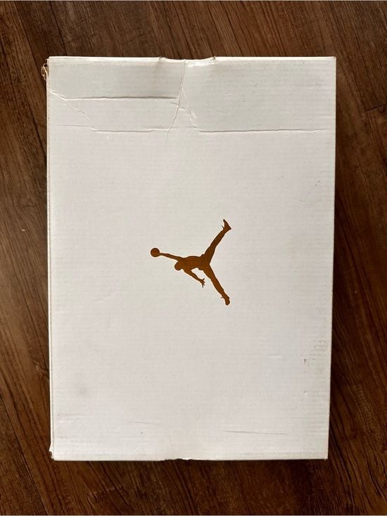 Retro Jumpman Jordan 12’s Suede Blush with Gold Accents 15