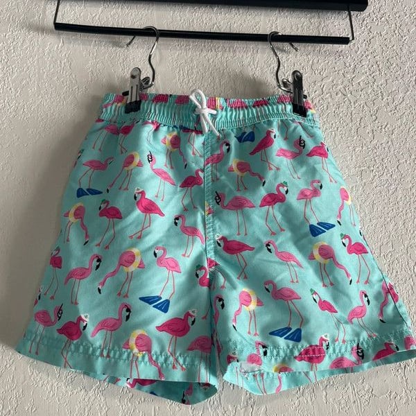 Janie and Jack Boy's Flamingo Swim Trunks, Size 6