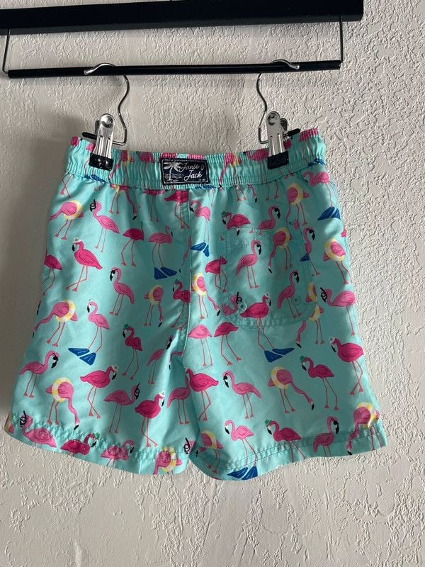 Janie and Jack Boy's Flamingo Swim Trunks, Size 6 3