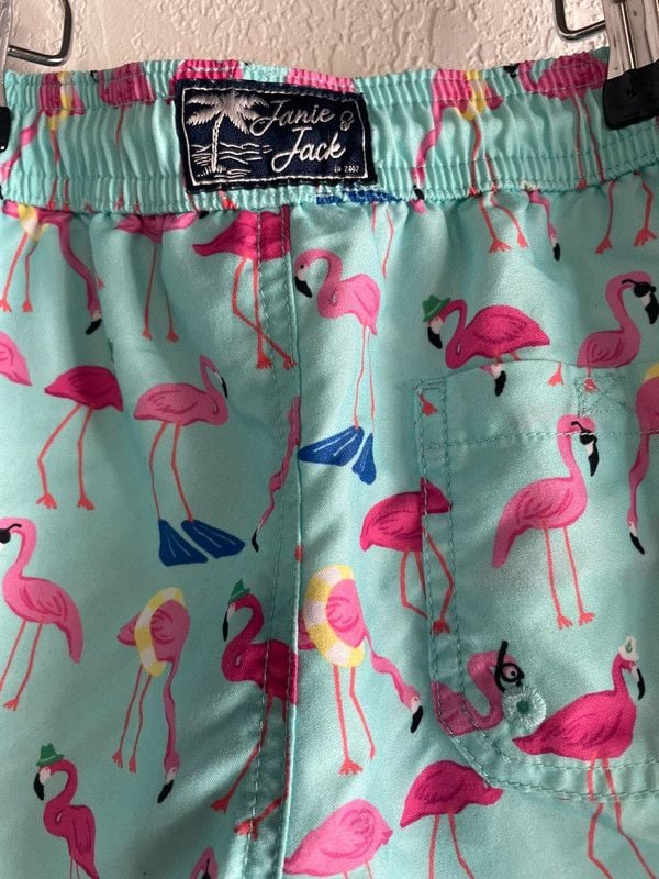 Janie and Jack Boy's Flamingo Swim Trunks, Size 6 4