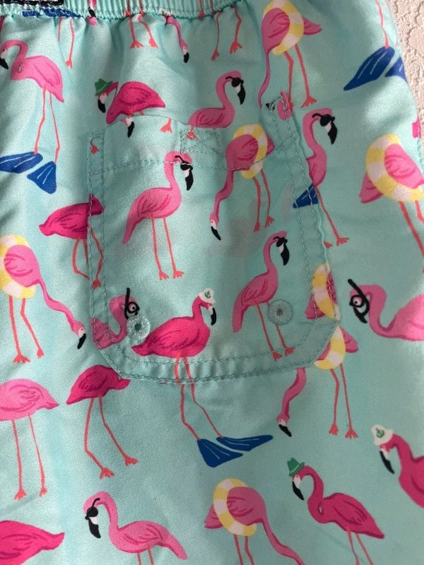 Janie and Jack Boy's Flamingo Swim Trunks, Size 6 5