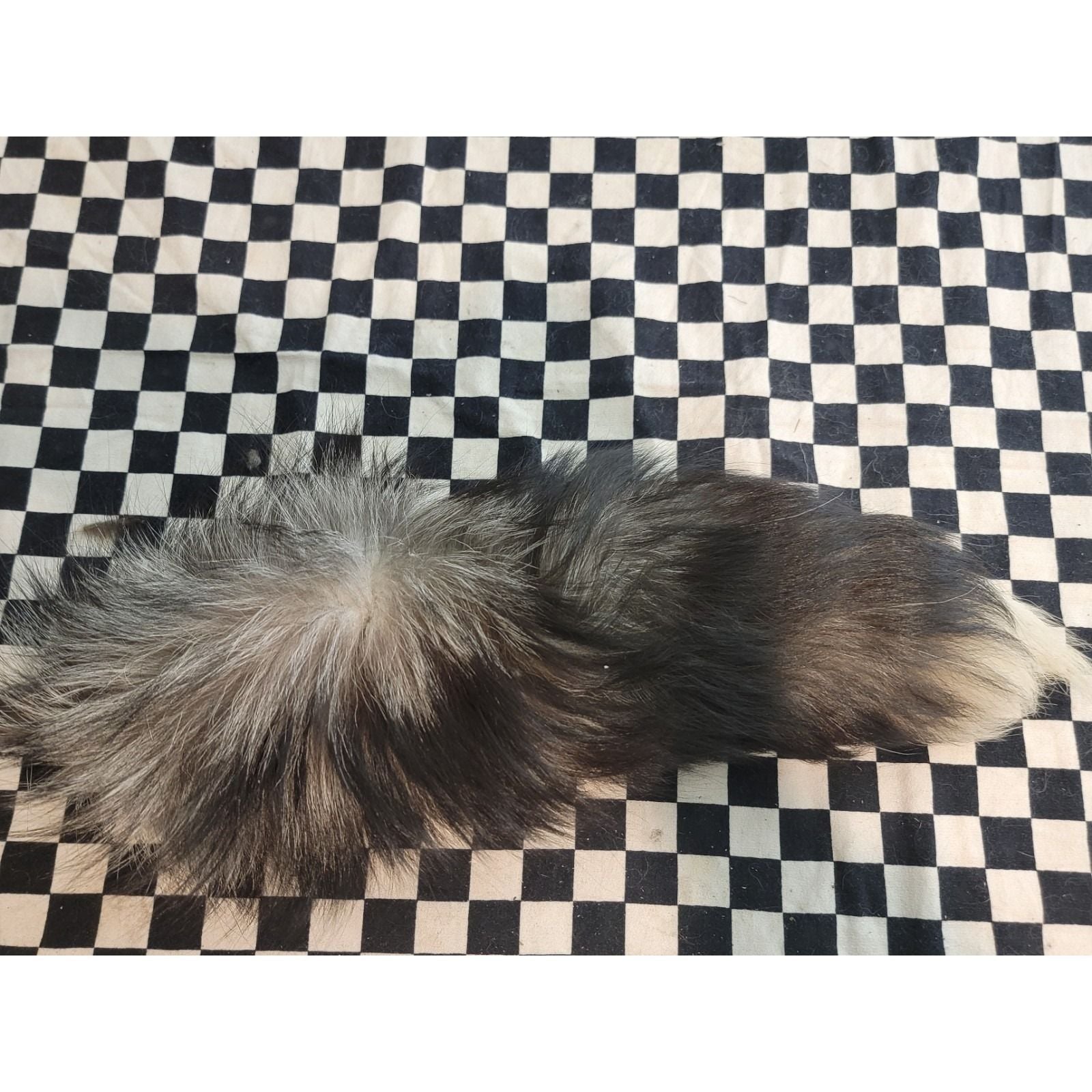 Real Fox Fur Tail – FULL LENGTH | Tanned | Bushy w/ White Tip | Craft / Fly... 1