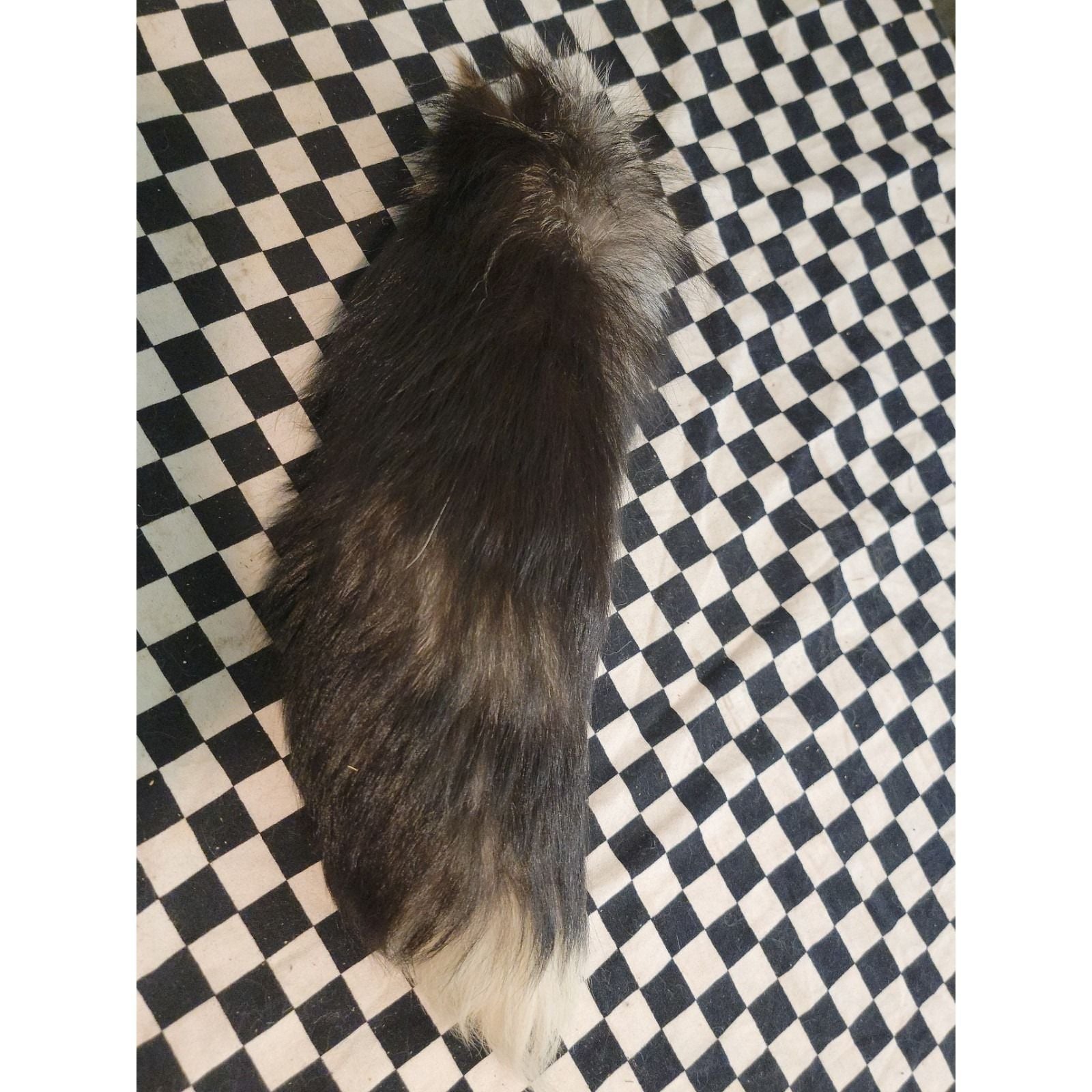 Real Fox Fur Tail – FULL LENGTH | Tanned | Bushy w/ White Tip | Craft / Fly... 2