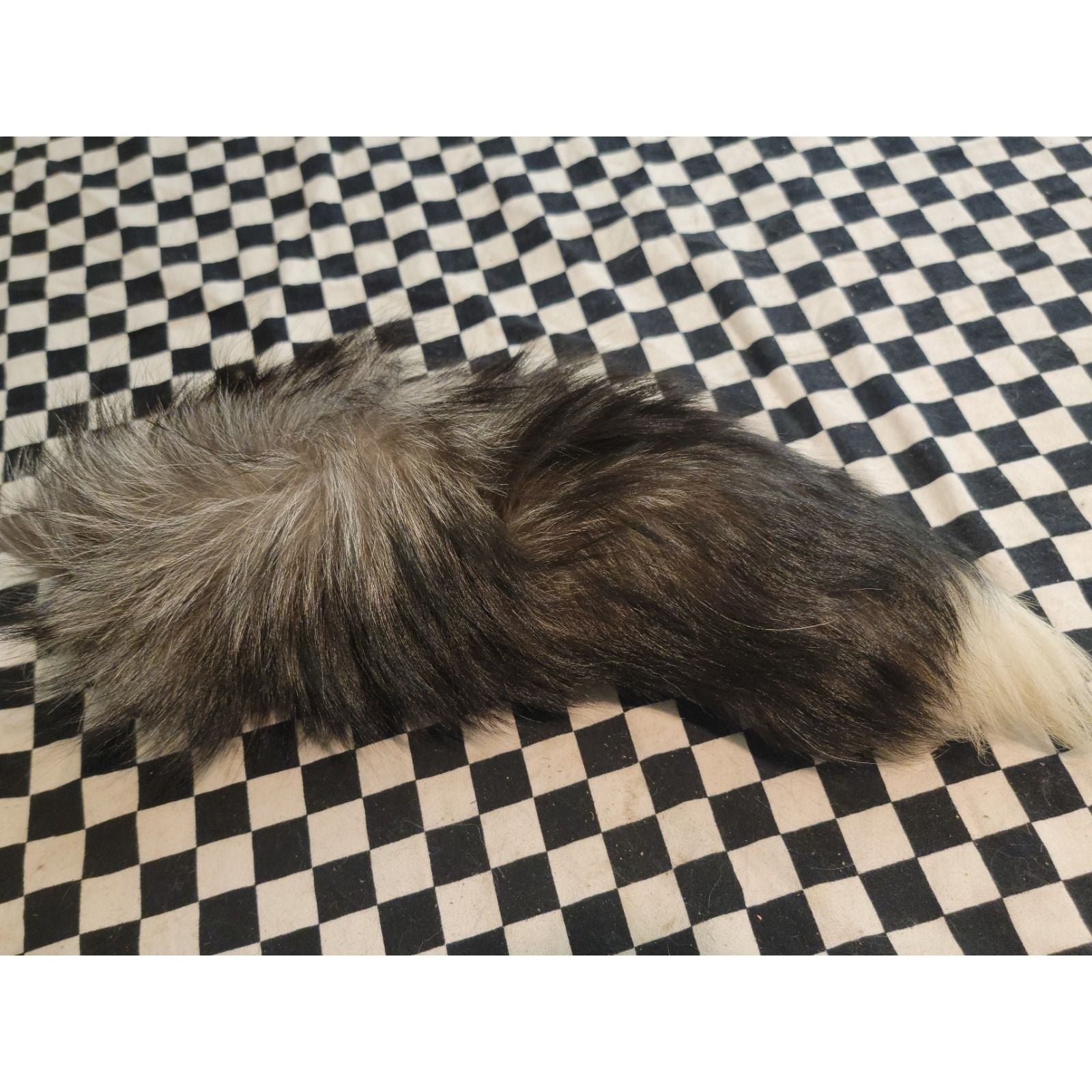 Real Fox Fur Tail – FULL LENGTH | Tanned | Bushy w/ White Tip | Craft / Fly... 3