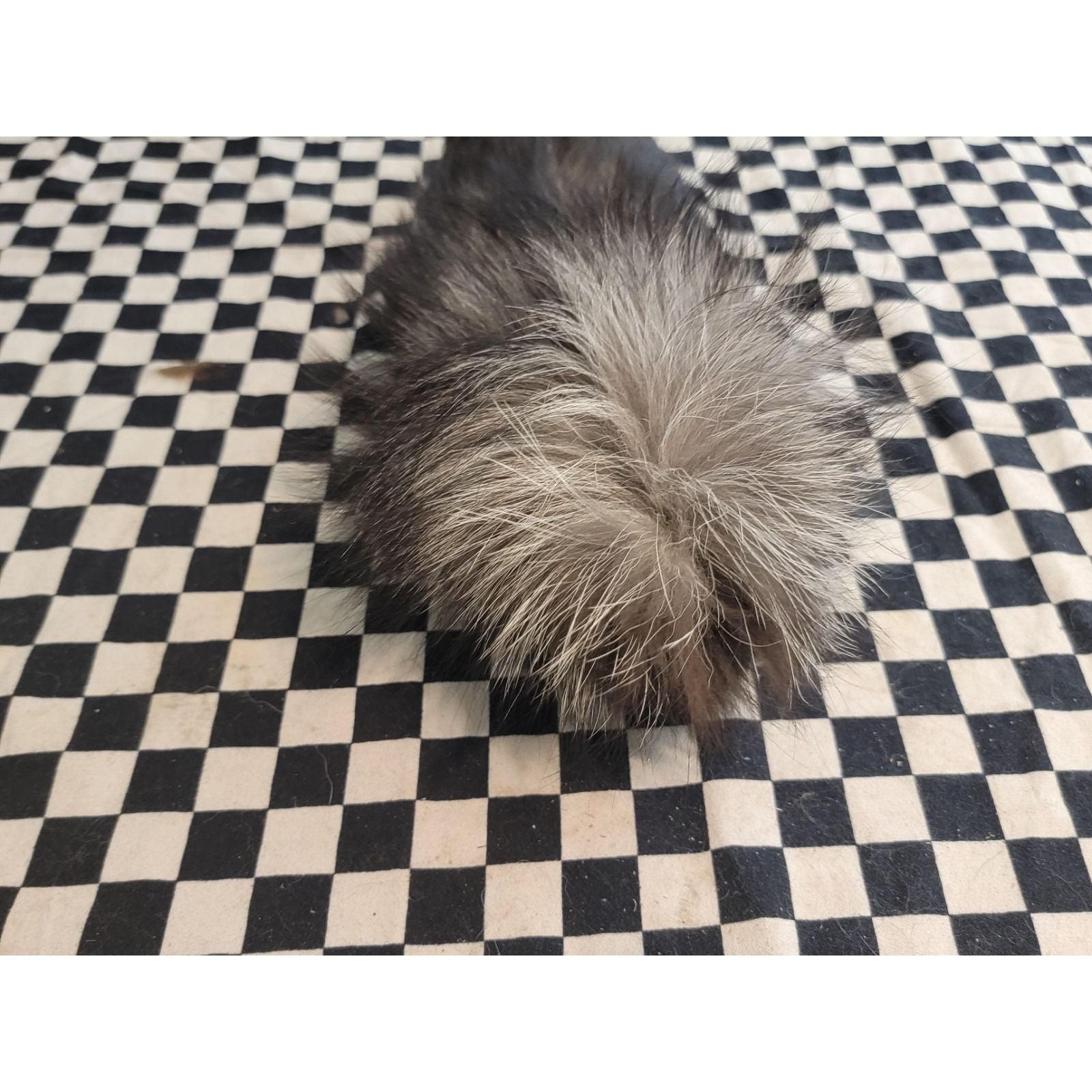 Real Fox Fur Tail – FULL LENGTH | Tanned | Bushy w/ White Tip | Craft / Fly... 4