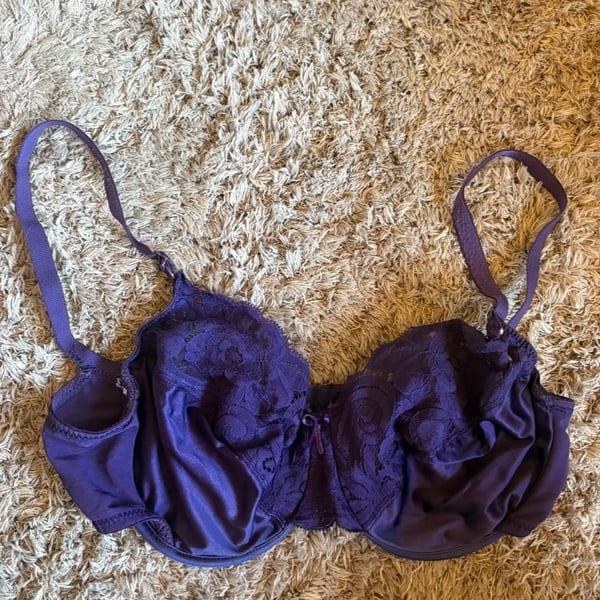 Adagio Purple Lace Underwire Bra