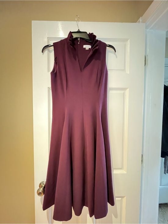 Calvin Klein Ruffled Neck A-Line Dress in Plum 2