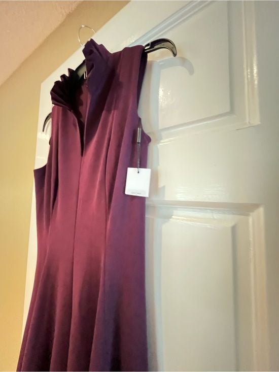 Calvin Klein Ruffled Neck A-Line Dress in Plum 4
