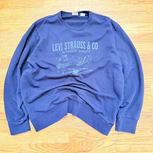 Levi's Graphic Landscape Crewneck Sweatshirt Blue