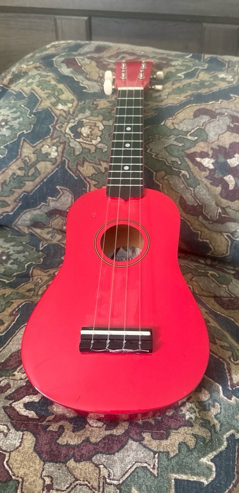 Diamond Head DU-102 Rainbow Soprano Ukulele 2