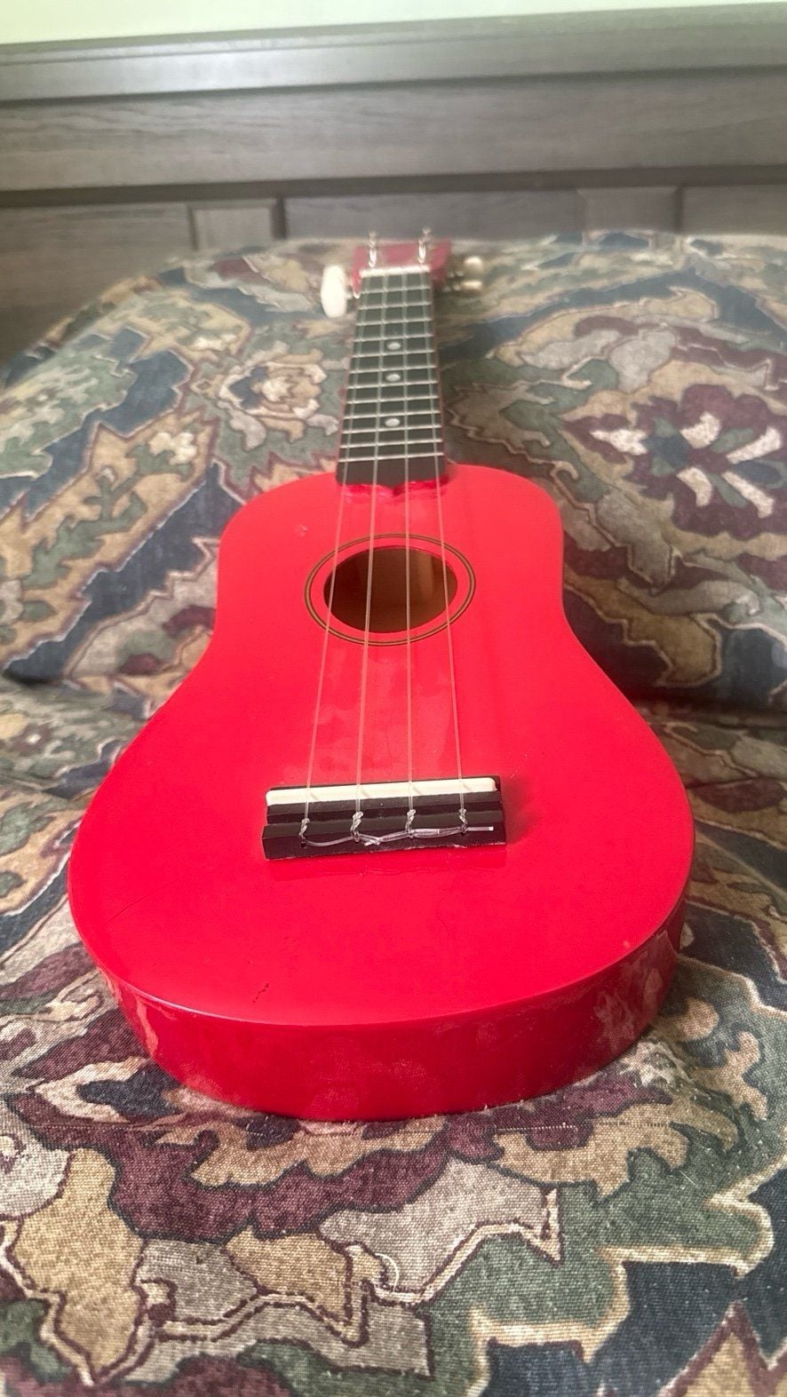 Diamond Head DU-102 Rainbow Soprano Ukulele 3