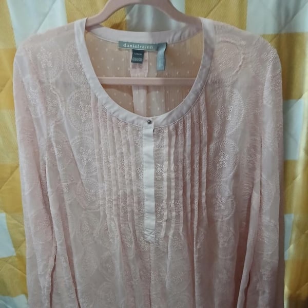Daniel Rainn Sheer Long Sleeve Blouse