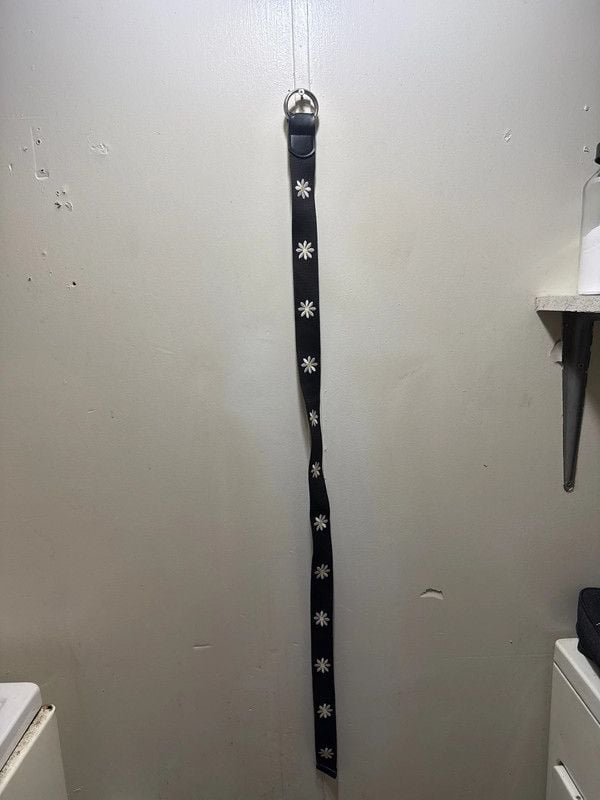 Wild Fable Belt 1