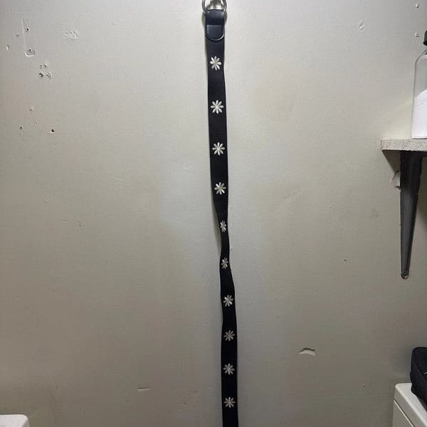 Wild Fable Belt